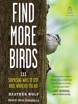cover image of Find More Birds